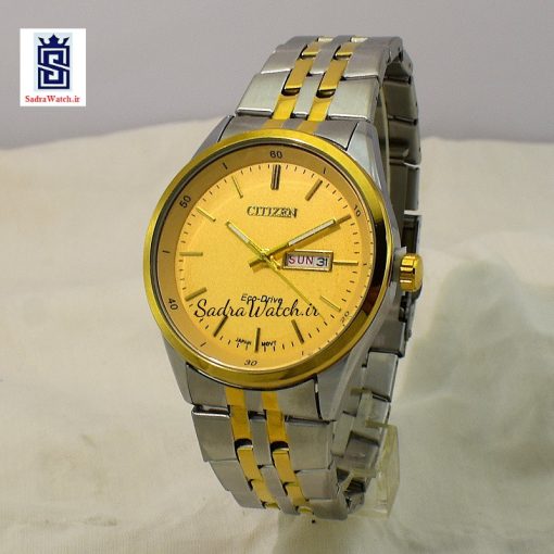 سیتیزن CITIZEN HSB-7010 دو تقویم موتور ژاپن - Image 4